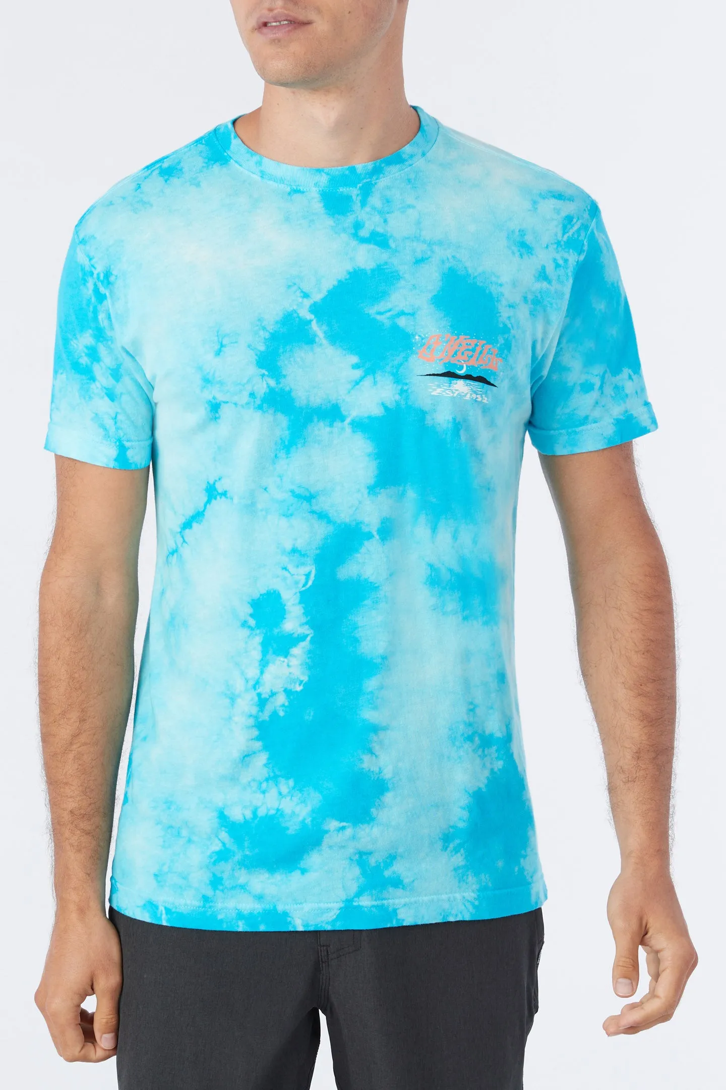 HIGH POINT ARTIST SERIES TEE